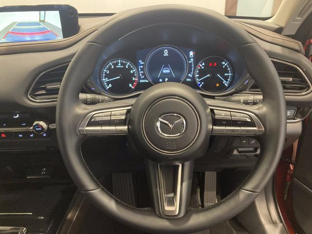ＣＸ－３０ ２０Ｓ　プロアクティブ　ツーリングセレクション　純正エアロ　ワンオーナー車　フルメンテ　ナビ　ＥＴＣ　３６０度カメラ（14枚目）