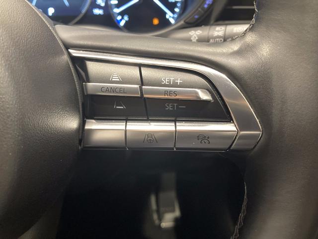 ＣＸ－３０ ２０Ｓ　プロアクティブ　ツーリングセレクション　純正エアロ　ワンオーナー車　フルメンテ　ナビ　ＥＴＣ　３６０度カメラ（15枚目）