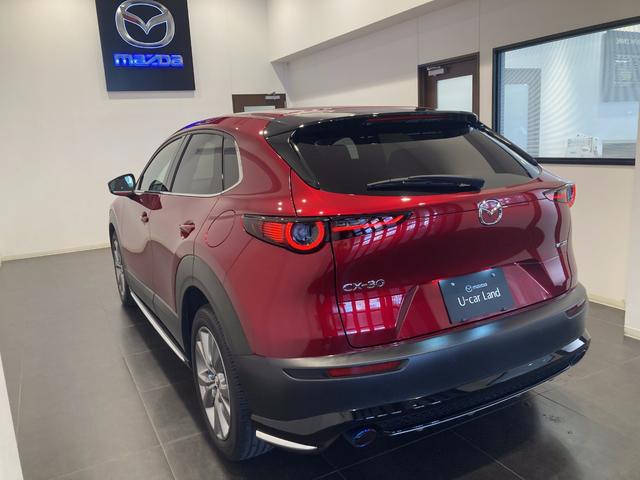 ＣＸ－３０ ２０Ｓ　プロアクティブ　ツーリングセレクション　純正エアロ　ワンオーナー車　フルメンテ　ナビ　ＥＴＣ　３６０度カメラ（21枚目）