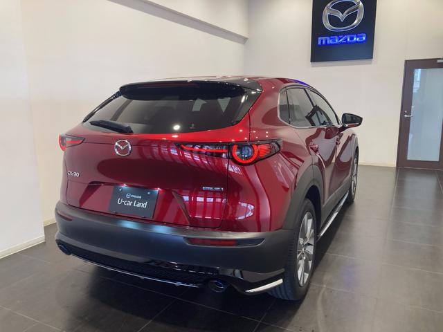 ＣＸ－３０ ２０Ｓ　プロアクティブ　ツーリングセレクション　純正エアロ　ワンオーナー車　フルメンテ　ナビ　ＥＴＣ　３６０度カメラ（22枚目）