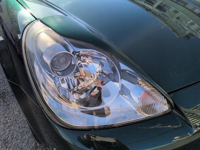 �E�w�b�h���C�g