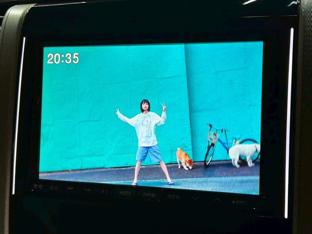 ヴェルファイア 2.4Z ゴールデンアイズ 禁煙 アルパインナビ TV バックカメラ 20AW ウーハー(3枚目)