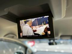 ǥå ֥롼ȡţءܳס̣ţġͷڸ 0707784A30250404W001 6