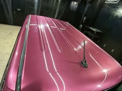 ����ȥ�ѥ� �������襢�˥С����꡼��ߥƥåɡ������ȥ������󡡶ر졡�����ȥҡ��������׷�����ܥǥ��� 0707784A30251030W001 4