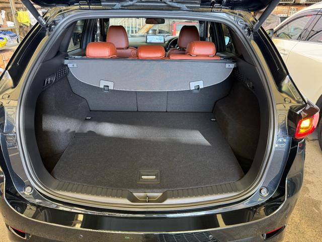 ＣＸ－５ ＸＤ　レトロスポーツエディション　３６０°ＶＭ　ＳＤナビ　当店元試乗車（44枚目）