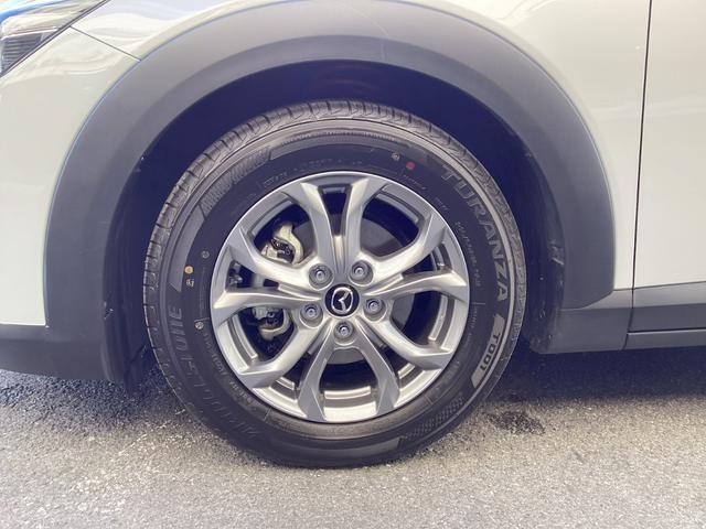 ���t�����g�^�C���ł��I�I�[�g�G�N�[�̃��[�_�E���T�X�y���V���������Ă���܂��B