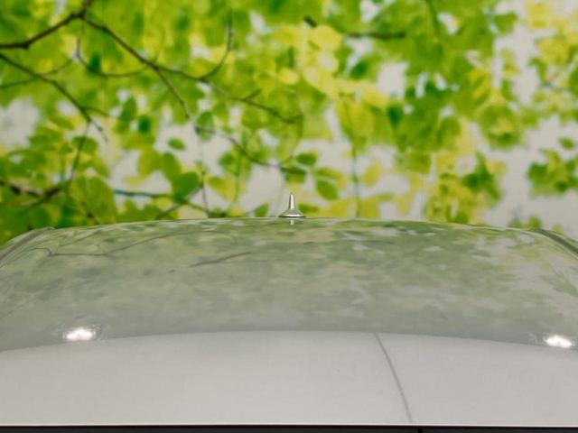 HS HS250hバージョンI 純正 HDDナビ/エアーシート 運転席/シート 合皮/ドライブレコーダー 社外/ヘッドランプ LED/Bluetooth接続/ETC/EBD付ABS/横滑り防止装置/アイドリングストップ バックカメラ(44枚目)