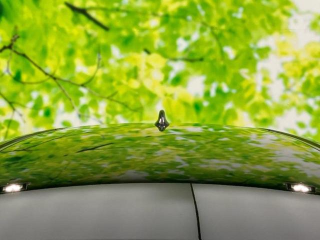 ハリアーハイブリッド Ｚ　新品タイヤ／ＪＢＬ／純正　１１．６インチ　ＳＤナビ／デジタルインナーミラー／衝突安全装置／車線逸脱防止支援システム／シート　ハーフレザー／電動バックドア／ヘッドランプ　ＬＥＤ／ＥＴＣ　バックカメラ（45枚目）