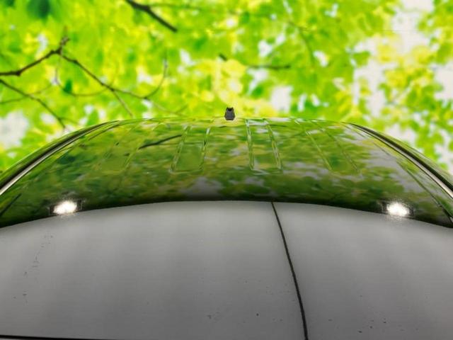 シエンタ ハイブリッドファンベースＧセーフティエディション　純正　ＳＤナビ／衝突安全装置／両側電動スライドドア／シートヒーター　前席／パノラミックビューモニター／車線逸脱防止支援システム／ドライブレコーダー　前後／ヘッドランプ　ＬＥＤ／ＵＳＢジャック　ドラレコ（46枚目）