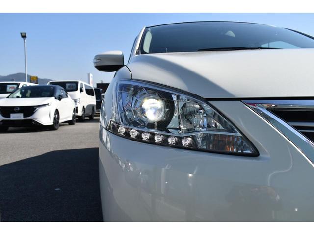 ��Ԃ∫�V�󎞂̍ۂ����邢���E���m�ۂ��Ă����L�Z�m���w�b�h���C�g