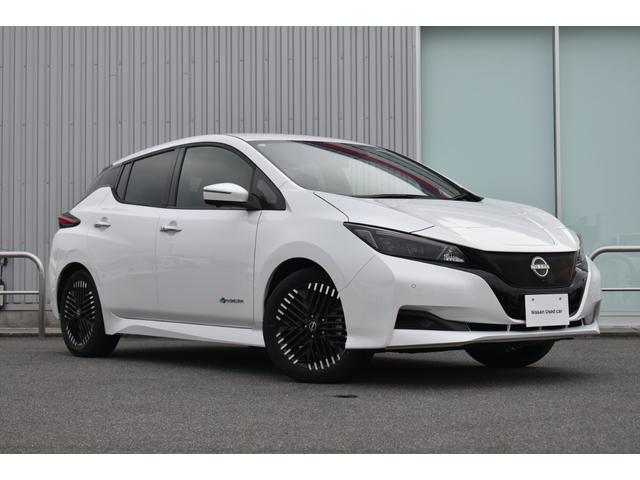 リーフ Ｘ　Ｖセレクション　純正９インチナビ　フルセグＴＶ　プロパイ　ＥＴＣ２．０　アラモニ　インテリミラー　ＬＥＤヘッド　シート／ハンドルヒーター　エマブレ　コーナーセンサー　踏み間違い防止　インテリキー　充電ケーブル（33枚目）