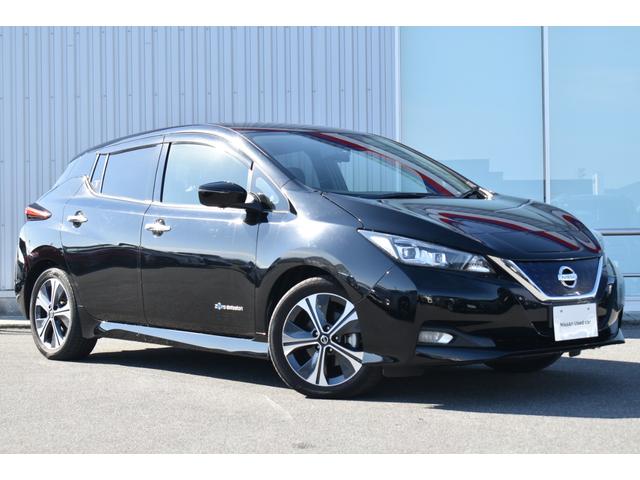 リーフ Ｇ　純９ナビ　フルセグＴＶ　プロパイ　プロパイパーキング　ドラレコ　ＥＴＣ２．０　ＡＶＭ　インテリミラー　ＬＥＤヘッド　寒冷地　シート／ハンドルヒーター　　コーナーセンサー　踏み間違い防止　インテリキー（37枚目）