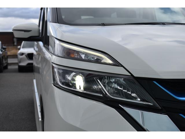 �Èłł��n�b�L��������k�d�c�w�b�h���C�g�I�Â��铹�ł����S���ăh���C�u�ł��܂�