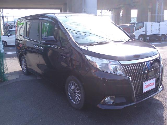 �l�C�O���[�h���l�C�J���[��