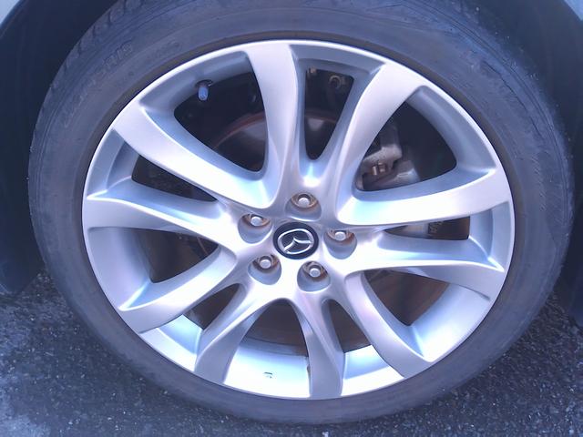 �E�t�����g�^�C����