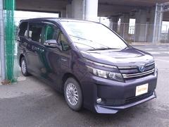 �͵����졼�ɢ��͵����顼�� 7