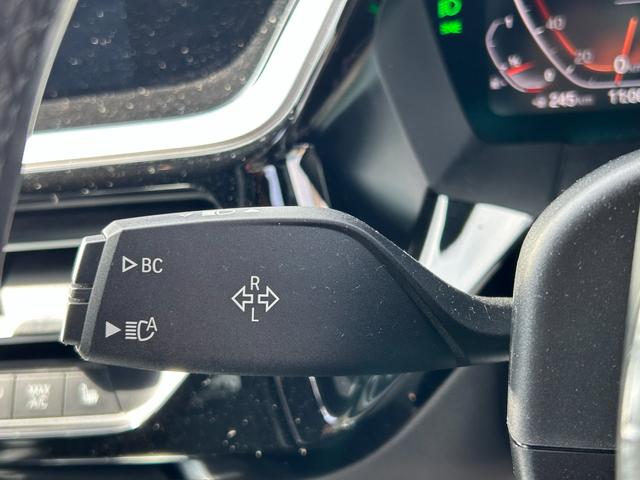 Z4 sDrive20i Mスポーツ 禁煙 ターボ イノベーションpkg 純正19AW ハーマンカードン 黒革 HUD アダプティブLED レーダークルコン 10.25型純正ナビ Applecarplay パドルシフト BSM 前後ソナー(32枚目)