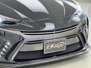 Ｓ　１９インチアルミホイール／バックカメラ／ビルトインＥＴＣ／ガングリップコンビハンドル／フルエアロ／スモークテール／フォグランプ／イカリング／ＬＥＤヘッドライト／プッシュスタート／純正ナビ／ローダウン（45枚目）