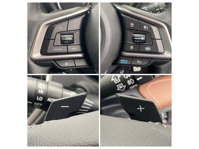 フォレスター アドバンス アイサイト 本革パワーシート ナビ フルセグTV Bluetooth DVD バック・フロント・サイドカメラ ドライブレコ-ダ クルーズコントロール ETC 4WD LED スマートキー ルーフレール(6枚目)