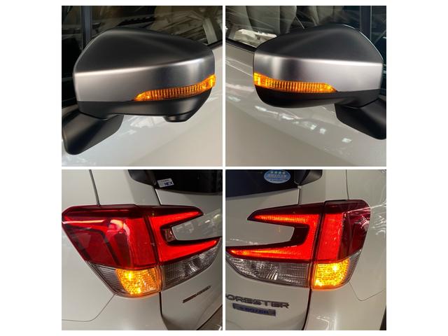 フォレスター アドバンス アイサイト 本革パワーシート ナビ フルセグTV Bluetooth DVD バック・フロント・サイドカメラ ドライブレコ-ダ クルーズコントロール ETC 4WD LED スマートキー ルーフレール(23枚目)