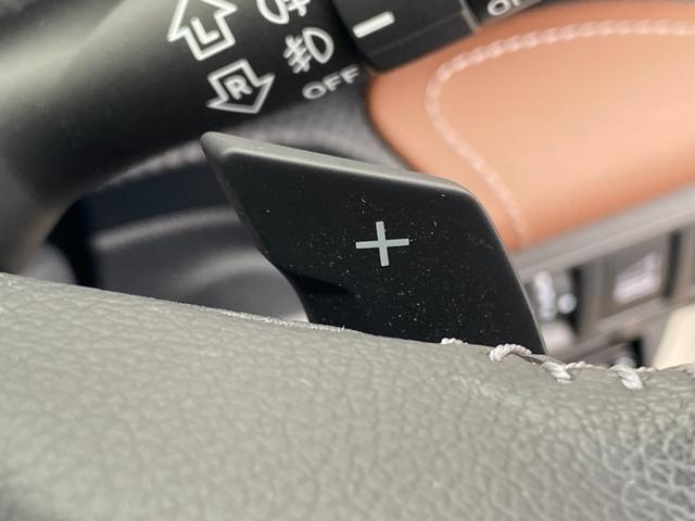 フォレスター アドバンス アイサイト 本革パワーシート ナビ フルセグTV Bluetooth DVD バック・フロント・サイドカメラ ドライブレコ-ダ クルーズコントロール ETC 4WD LED スマートキー ルーフレール(33枚目)