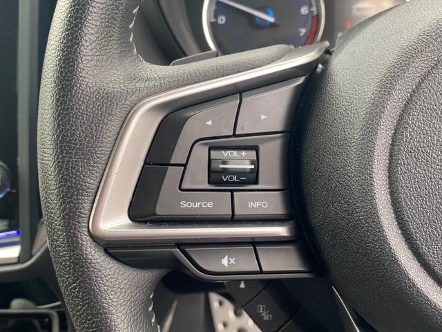 フォレスター アドバンス アイサイト 本革パワーシート ナビ フルセグTV Bluetooth DVD バック・フロント・サイドカメラ ドライブレコ-ダ クルーズコントロール ETC 4WD LED スマートキー ルーフレール(34枚目)