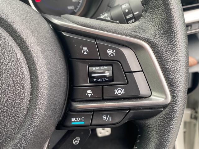 フォレスター アドバンス アイサイト 本革パワーシート ナビ フルセグTV Bluetooth DVD バック・フロント・サイドカメラ ドライブレコ-ダ クルーズコントロール ETC 4WD LED スマートキー ルーフレール(35枚目)