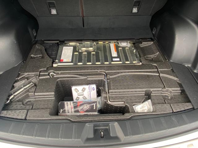 フォレスター アドバンス アイサイト 本革パワーシート ナビ フルセグTV Bluetooth DVD バック・フロント・サイドカメラ ドライブレコ-ダ クルーズコントロール ETC 4WD LED スマートキー ルーフレール(66枚目)