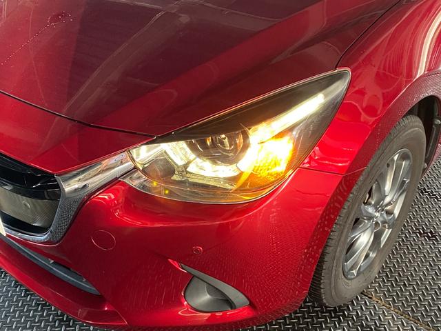 �y�k�d�c�w�b�h���C�g�z���邭�ȓd�͂œ_�����Ă��疾�邭�Ȃ�܂Ŏ��Ԃ�������Ȃ�����������܂��B