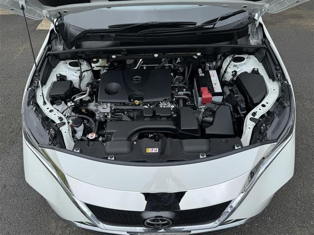 ハリアー Ｓ　フルセグ　メモリーナビ　ミュージックプレイヤー接続可　バックカメラ　衝突被害軽減システム　ＥＴＣ　ＬＥＤヘッドランプ　ワンオーナー　記録簿（36枚目）