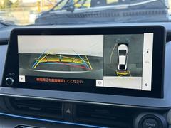 �������ϣ��������˥���������ޤμ��Ϥ�ľ��Ū���İ�������ޤ򿿾夫�鸫�Ƥ���褦�ʱ����� 7