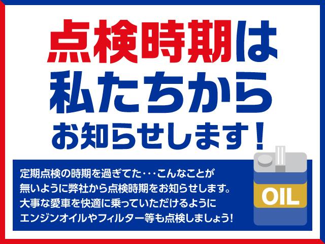 ハスラー ＨＹＢＲＩＤ　Ｇターボ（48枚目）