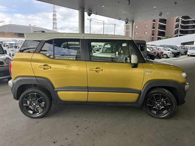 �{�f�B�J���[�̓C�G���[�ƃz���C�g�̂Q�g�[���ł��I