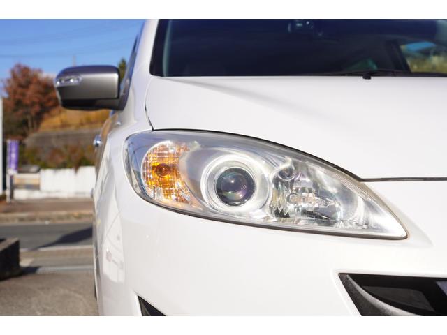 �y�g�h�c���C�g�z����������Ă���܂��B�铹����ϖ��邢�ł���