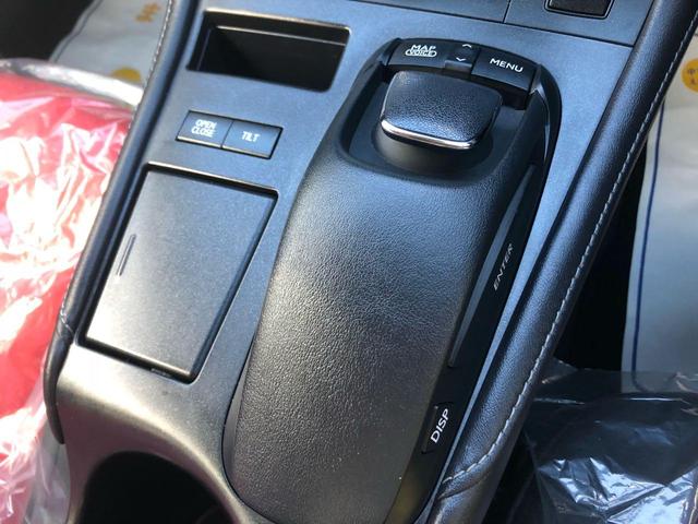 CT200h バージョンC スピンドル後期仕様 赤シート(18枚目)