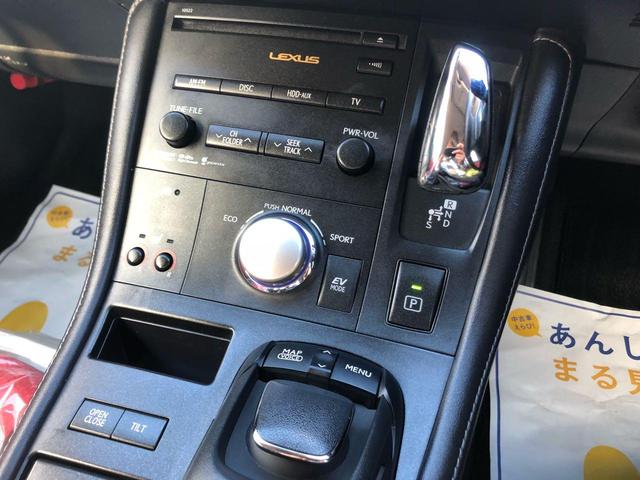 CT200h バージョンC スピンドル後期仕様 赤シート(19枚目)