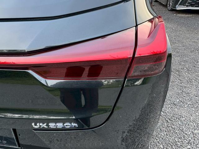 ＵＸ ２５０ｈ　Ｆスポーツ　／衝突軽減／ＢＳＭ／レーダークルーズ／レーンキープ／コーナーセンサー／全周囲カメラ／シートヒータ・エアコン／ステアリングヒーター／パワーバックドア／プッシュスタート／パワーシート／シートメモリ／ＥＴＣ（22枚目）