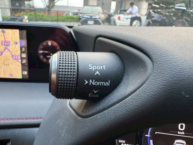ＵＸ ２５０ｈ　Ｆスポーツ　／衝突軽減／ＢＳＭ／レーダークルーズ／レーンキープ／コーナーセンサー／全周囲カメラ／シートヒータ・エアコン／ステアリングヒーター／パワーバックドア／プッシュスタート／パワーシート／シートメモリ／ＥＴＣ（47枚目）