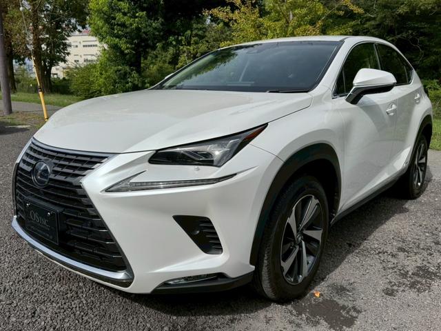 LEXUS NX NX300H I PACKAGE