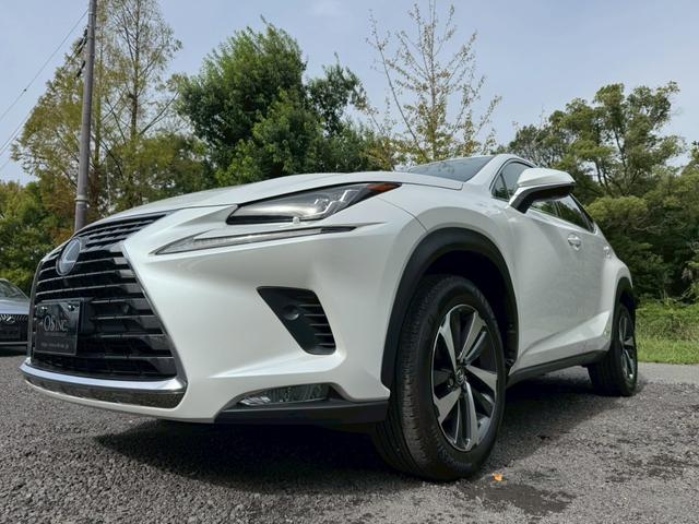 LEXUS NX NX300H I PACKAGE
