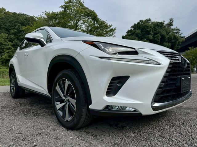LEXUS NX NX300H I PACKAGE