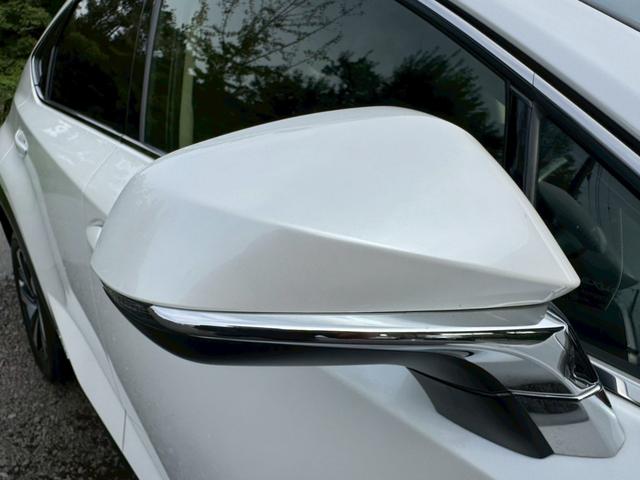 LEXUS NX NX300H I PACKAGE