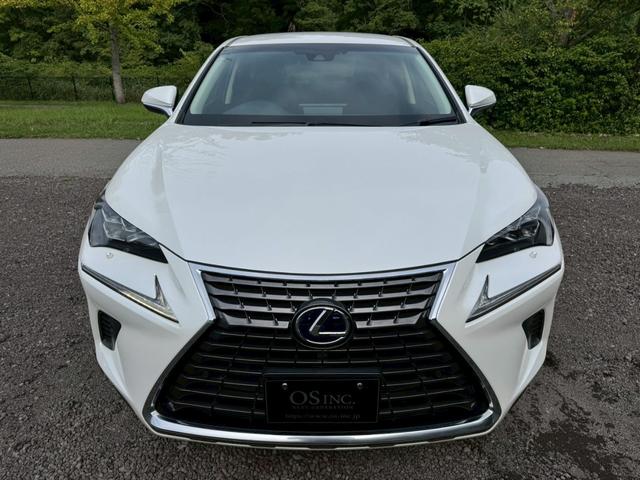 LEXUS NX NX300H I PACKAGE