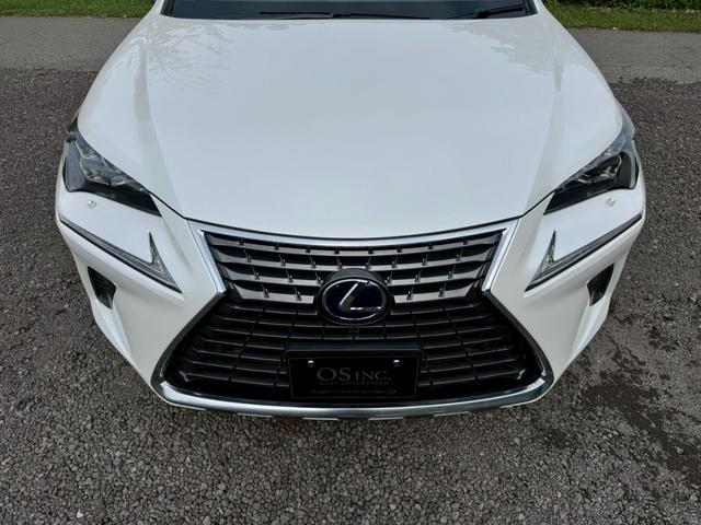 LEXUS NX NX300H I PACKAGE