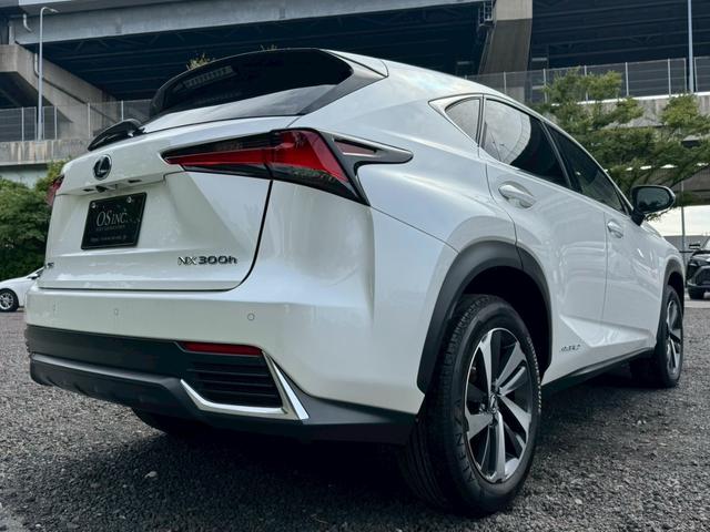 LEXUS NX NX300H I PACKAGE