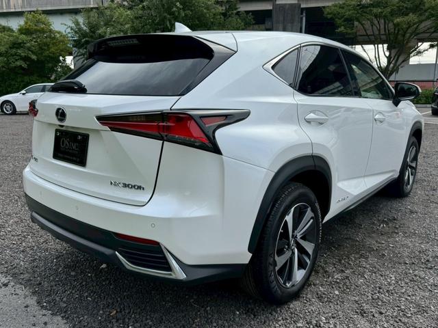 LEXUS NX NX300H I PACKAGE