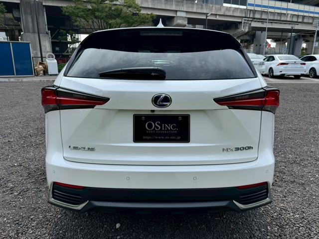LEXUS NX NX300H I PACKAGE
