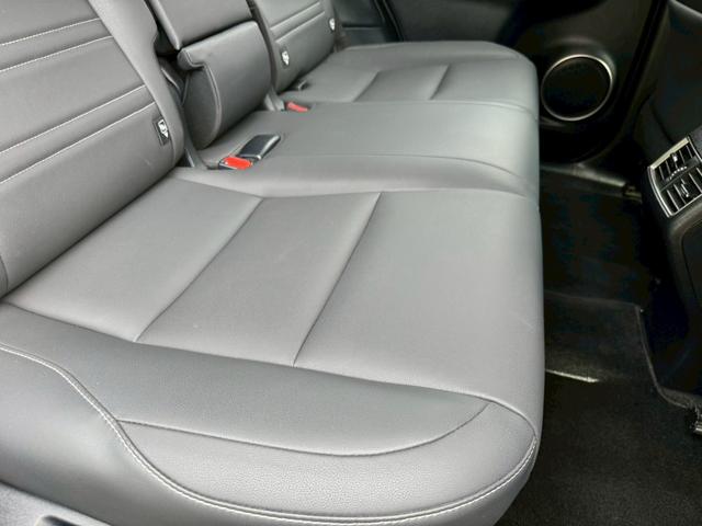 LEXUS NX NX300H I PACKAGE