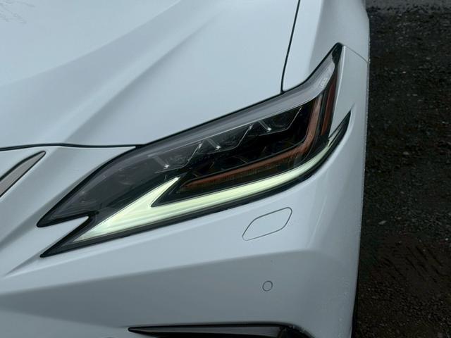 ES 300h Fスポーツ サンルーフ/衝突軽減/レーダークルーズコントロール/コーナーセンサー/BSM/ハンドルヒーター/シートヒーター・エアコン/パワーシート/シートメモリ/ETC/Bluetooth/バックカメラ(4枚目)