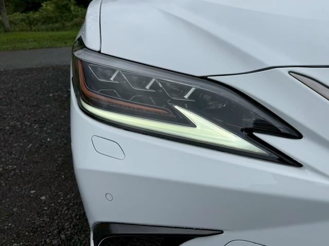 ES 300h Fスポーツ サンルーフ/衝突軽減/レーダークルーズコントロール/コーナーセンサー/BSM/ハンドルヒーター/シートヒーター・エアコン/パワーシート/シートメモリ/ETC/Bluetooth/バックカメラ(9枚目)